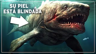 Devónico: La Era poco Conocida en la que los Tiburones Prehistóricos Blindados Dominaban los Mares !