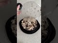 Chicken Shredder with Cover (Link in Comments) #tangadeals #shredder #kitchentools #cheapprice