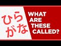 Japanese Characters Quiz | Hiragana (46 Letters)