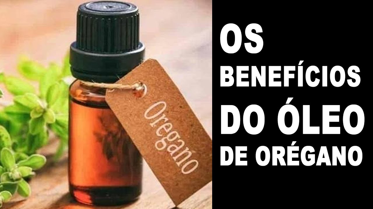 OS BENEFÍCIOS do óleo essencial de orégano. YouTube OS BENEFÍCIOS do óleo essencial de orégano. YouTube