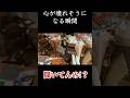 【社畜】帰宅後に始まる地獄