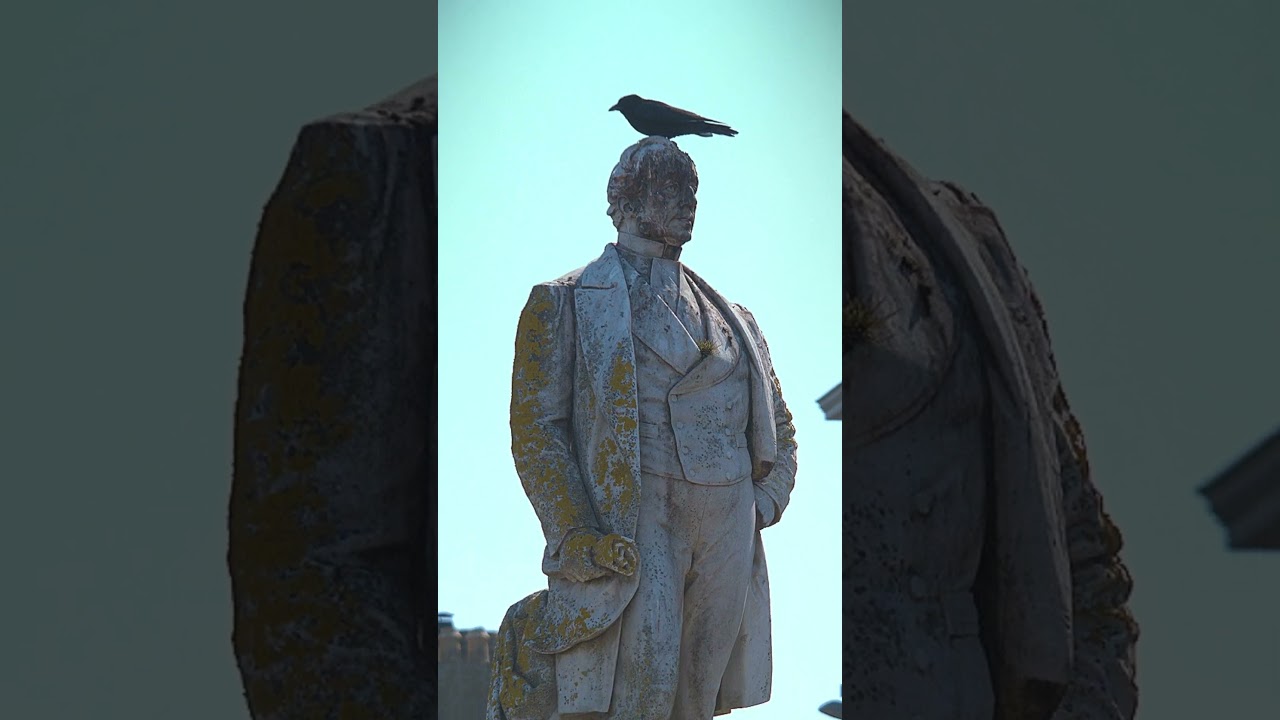 THE OBSERVERS!! 👀👀 - 📷 