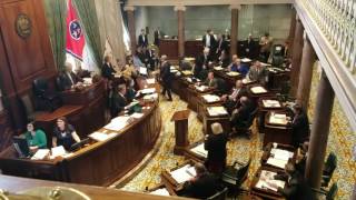 20170330 Senate session 8