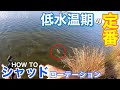 【晩秋から冬の定番】シャッドってどう使う？陸っぱりで効果のある使い方は？【水の旅＃ ９７】