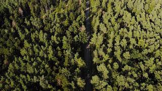 Free Drone Aerial View Overhead Shot β¨ | High Quality Overhead Video | For Commercial Drone Use
