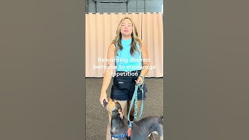 Positive Reinforcement Training🐶❤️