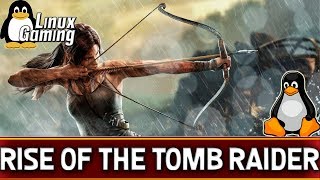 Rise Of The Tomb Raider | Ubuntu 17.10 | Linux Gaming