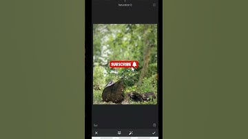 snapseed  blur photo editing background | Background blur kaise kare trick😲 #shorts #ytshorts #viral