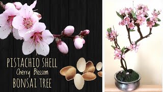 DIY PISTA SHELL FLOWERS || Pistachio shell cherry blossom bonsai tree ||Pista shell crafts || Ep 48