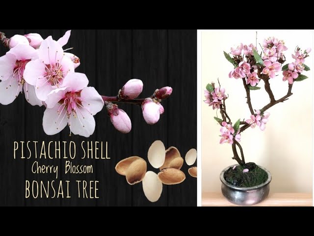 bonsai dnger test Bonsaidnger - Mineralischer NPK Flssigdnger mit Stickstoff