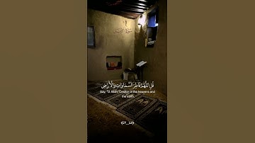 القارئ ماهر المعيقلي - سورة الزمر - ذكر الله