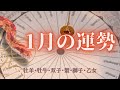 【１２星座前半】1月あなたの運勢を生リーディング🌕✨