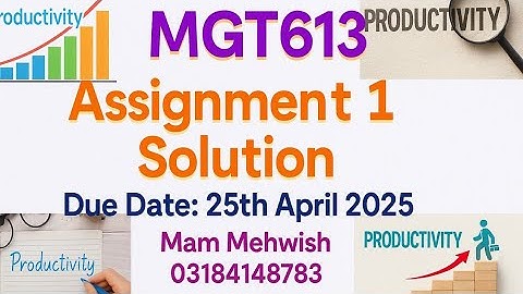 MGT613 Assignment 1 Solution | Productivity Calculations | Due Date: 25 April 2025