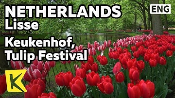 【K】Netherlands Travel-Lisse[네덜란드 여행-리세]쾨켄호프 공원, 꽃 축제/Keukenhof, Tulip Festival/Flower/Exhibition