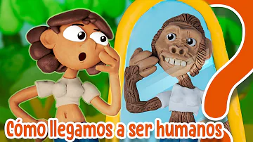 ¿De qué simio evolucionó el ser humano?
