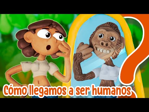 Video: Driopithecus: período de vida, hábitat y características del desarrollo