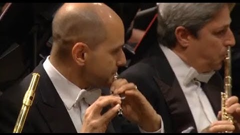 Maurizio Simeoli plays Tchaikovsky 4th Symphony Solo