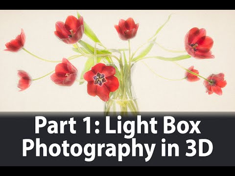 Light Box Photography in Three Dimensions | Part I: Introduction and Live Photography | Harold