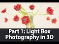 Light Box Photography in Three Dimensions | Part I: Introduction and Live Photography | Harold Davis