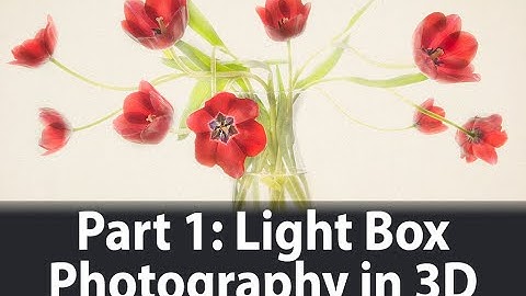Light Box Photography in Three Dimensions | Part I: Introduction and Live Photography | Harold Davis