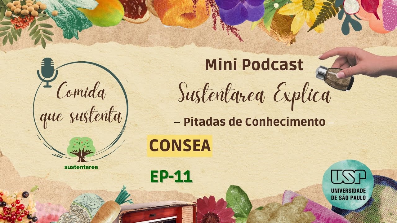 Sustentarea Explica | C | Consea
