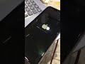 iphone xs max icloud bypass with 3utool