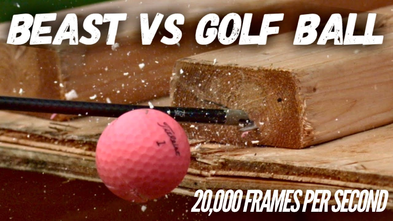 Golf Ball VS BEAST Broadhead in Slow Motion! | 20,000 FPS |