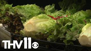 Experts give tips on avoiding Cyclospora