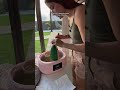 Hopefully This Squishy Survives 😭🫶#squishyasmr #squishy #asmr #satisfying #viral #fyp #trending