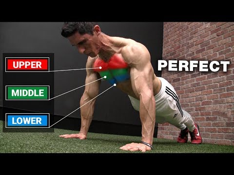 The Perfect PUSH-UP Workout (3 LEVELS)