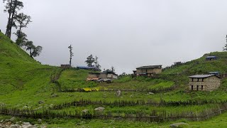 Very Difficult Lifestyle of Nepali Mountain Shepherds || Very Far From Civilization || IamSuman