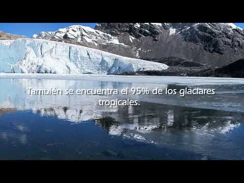 Día Internacional de los Trópicos