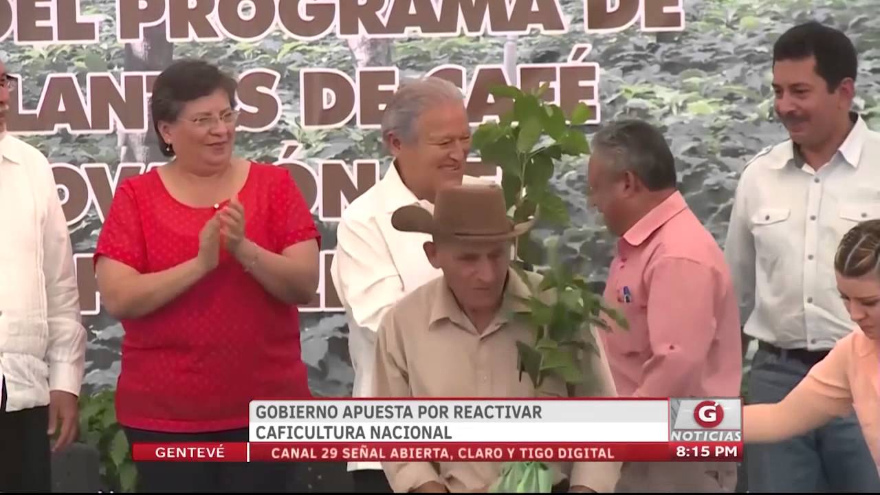 Gentevé Noticias GOES apuesta por reactivar la