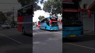 bus SAE Pariwisata #buspariwisata #busmania #telolet #basuri