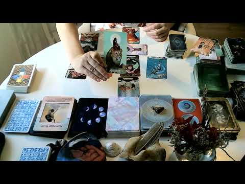 Video: Vztahy Na Tarotových Kartách