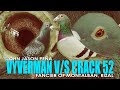 Part 2 | Vyverman v/s Crack 52 | John Jason Peña