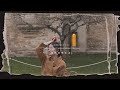 Sally's Cambridge Exploration Day 2 - 开始对Knights Park这个小区的居住体验有更深层的认识