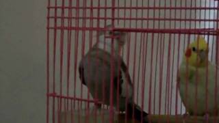 MOV00272.AVI