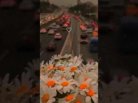 حالات واتس Shorts اغنية اسعد الله صباحك