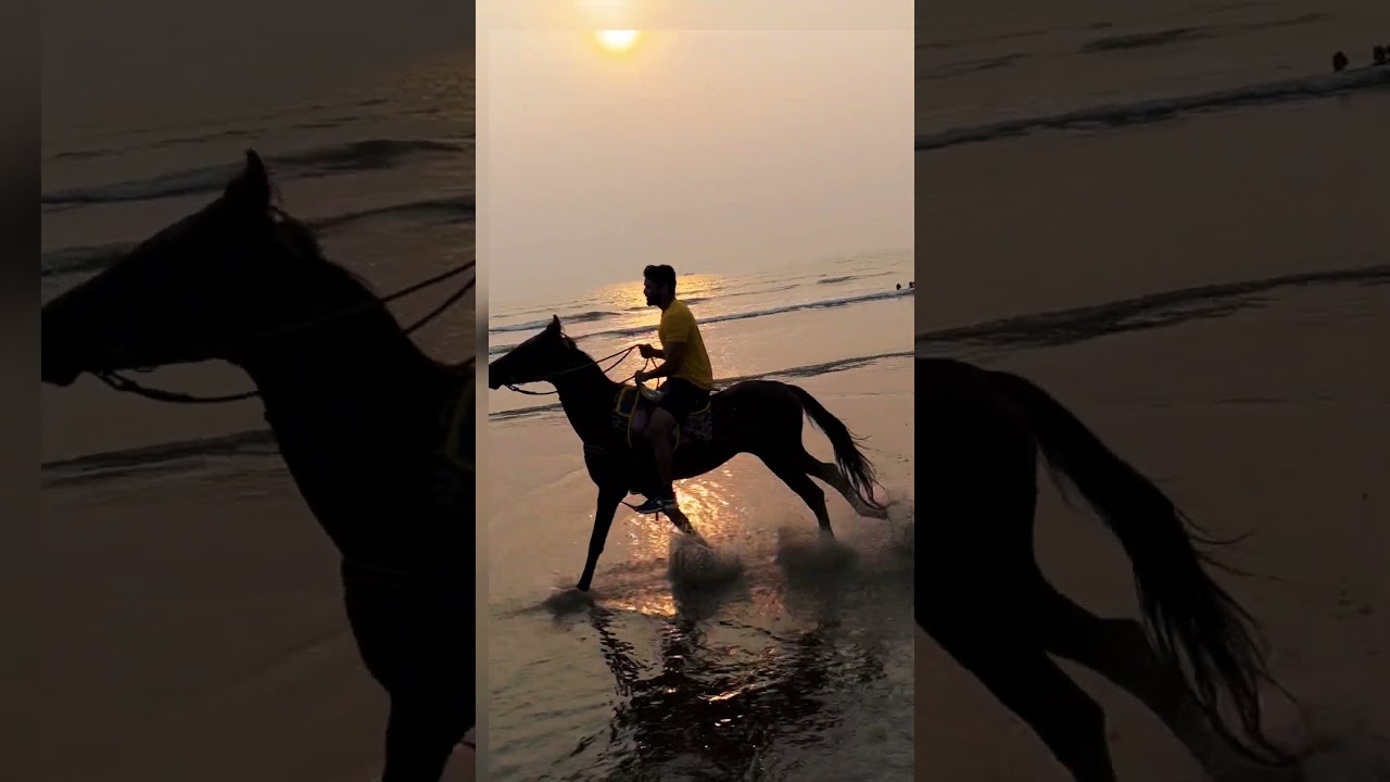#hourselover #hourseriding #hourse #riding #treanding #instareels #instagram #cowboys #seariders