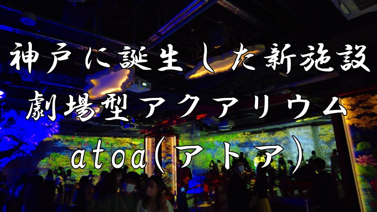 関西 祝開業 神戸に誕生した劇場型アクアリウム アトア体験記 再開発 Vlog Youtube