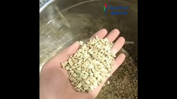 Mini32 for Green Bean Color Sorting #machine#coffeeroastermachine  #ricecolorsortermachine