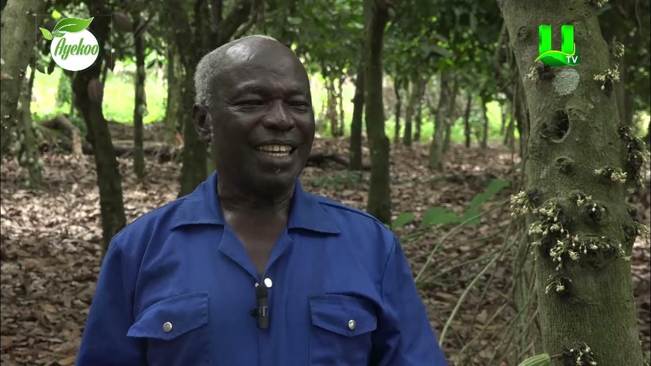 AYEKOO:  I COMBINE PASTORAL SERVICE WITH COCOA FARMING   – OSOFO JUMAA