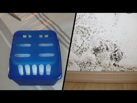 جهاز التخلص من الرطوبة في المنزل   