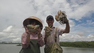 小池发财了，大青蟹抓十几只抓到哭，还跑掉一条值钱货，也超爽了