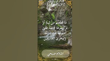 59Quran Surah Al Hashr  Al Sheikh Islam Sobhi الشيخ اسلام صبحي   سورة الحشر    1