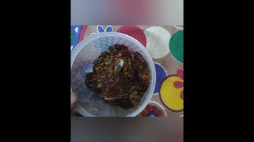 Remove seed from stickey  Dates easily.