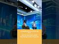 ما هي أقسام ريادة الأعمال Entrepreneurship Technology Business Startups Inspiration ما هي أقسام ريادة الأعمال Entrepreneurship Technology Business Startups Inspiration
