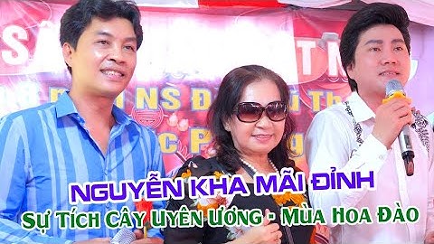 NS Nguyễn Kha tâm sự thấy thương lắm Anh Mãi Đỉnh Trong Lòng Khán Giả Hâm Mộ