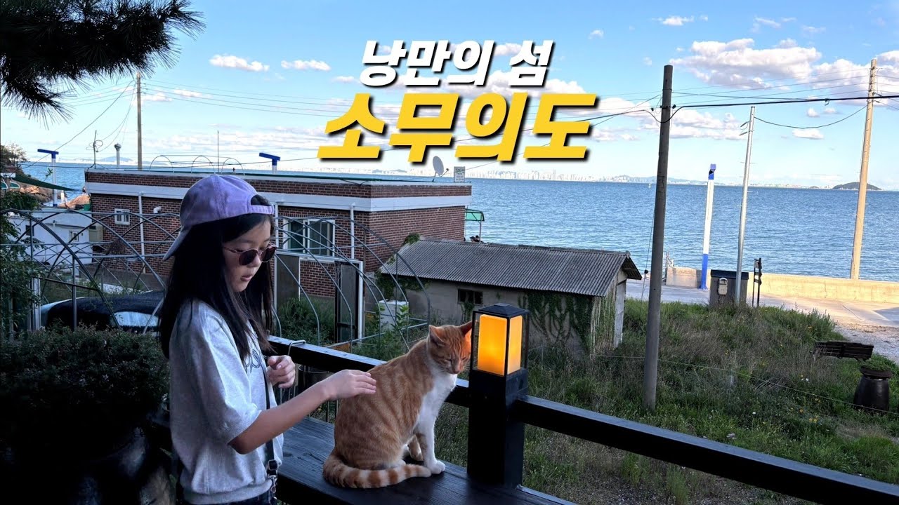 근교 당일치기 섬여행, 소무의도에 산책갔다가 개냥이와 즐거운 시간보내기 (맛집 그리고 고양이가 있는 카페)